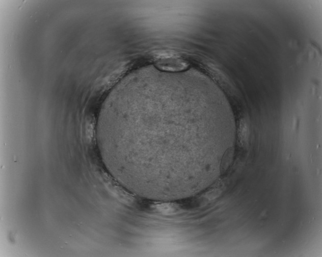 X0000103290417200809122012