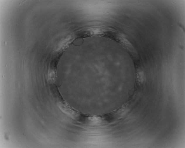 X0000103290419200809122012