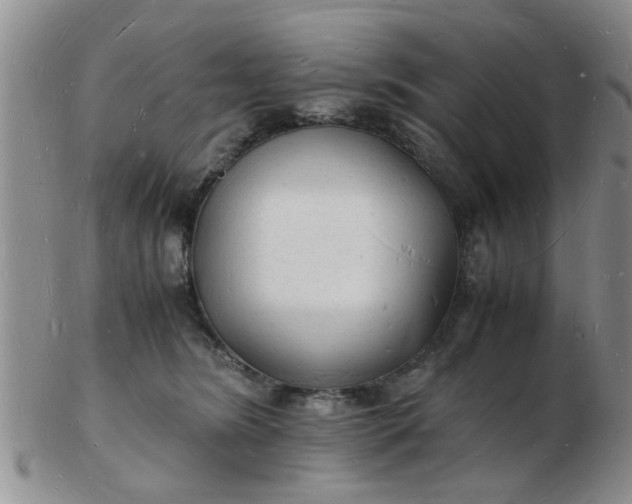 X0000103290420200809122012