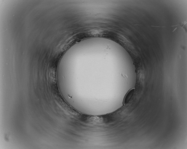 X0000103290421200809122012