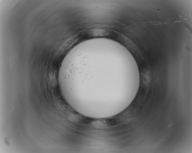 X0000103290422200809122012