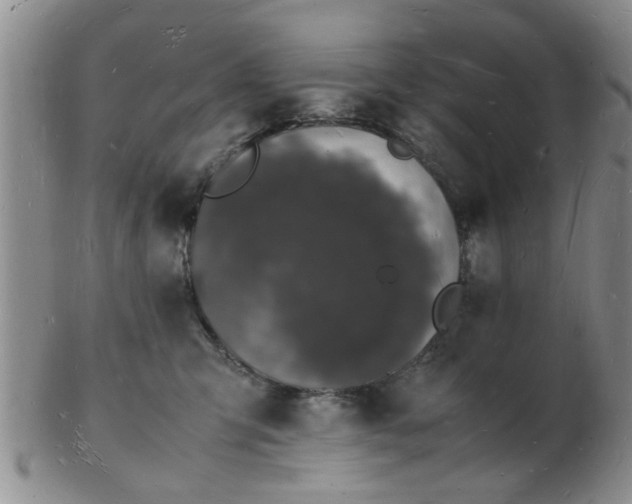 X0000103290423200809122012