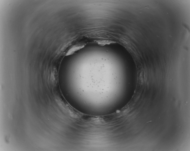 X0000103290424200809122012