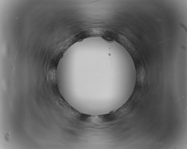 X0000103290425200809122012