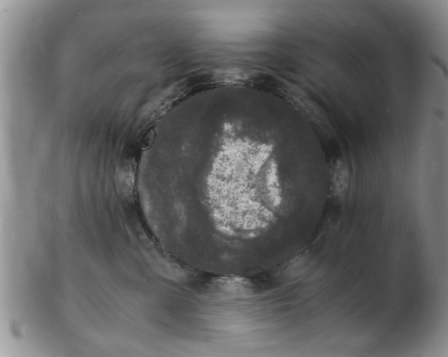 X0000103290427200809122012