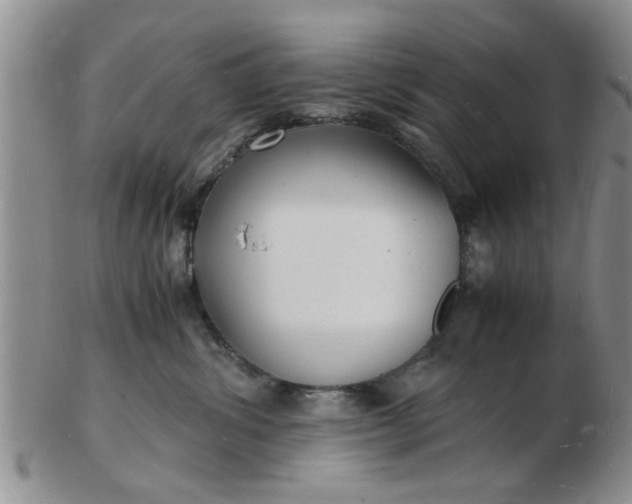 X0000103290428200809122012