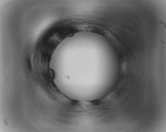 X0000103290429200809122012