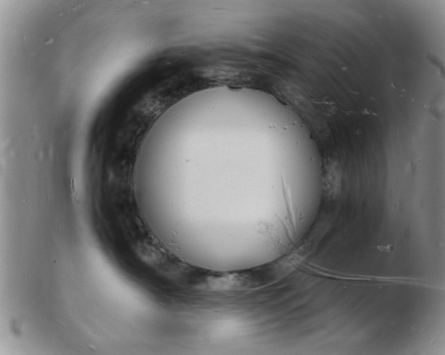 X0000103290430200809122012