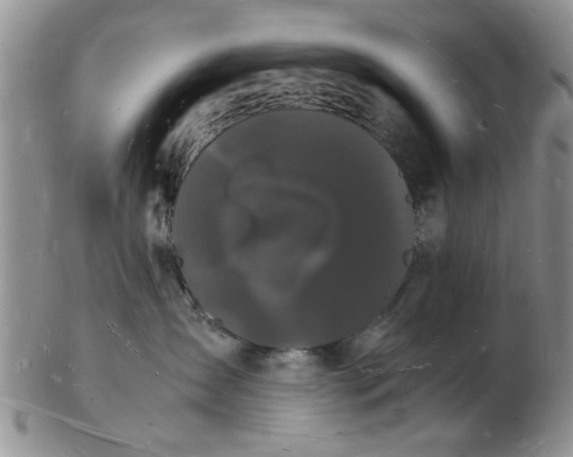 X0000103290431200809122012