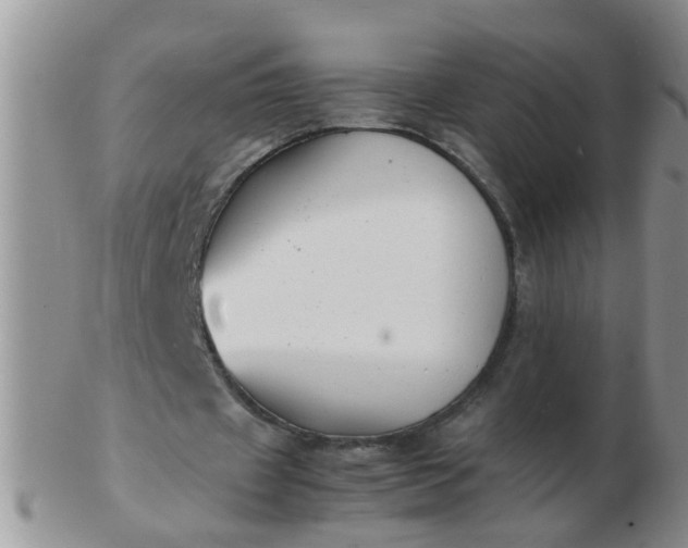 X0000103290433200809122011