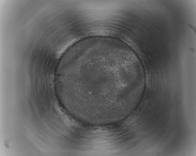 X0000103290434200809122011