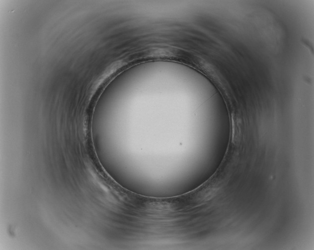 X0000103290435200809122011