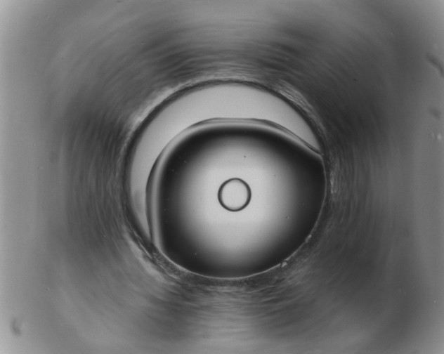 X0000103290436200809122011