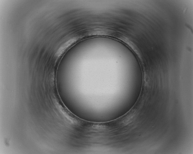 X0000103290437200809122011