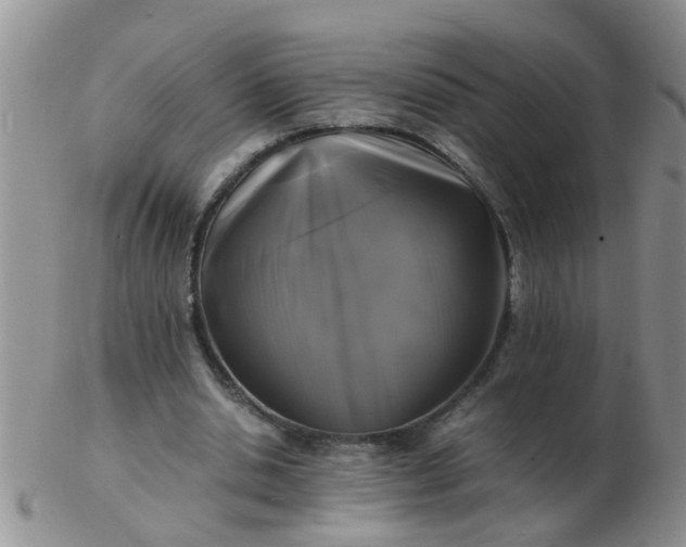 X0000103290438200809122011