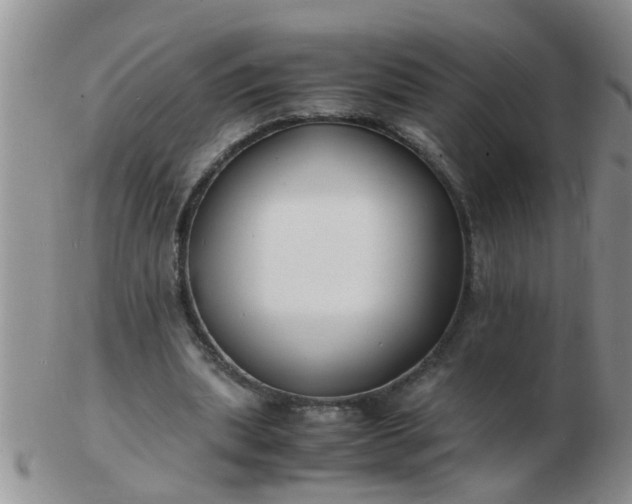 X0000103290439200809122011