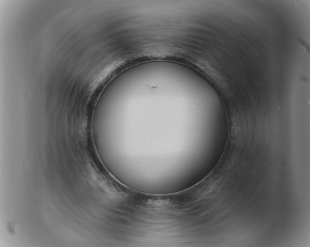 X0000103290440200809122011