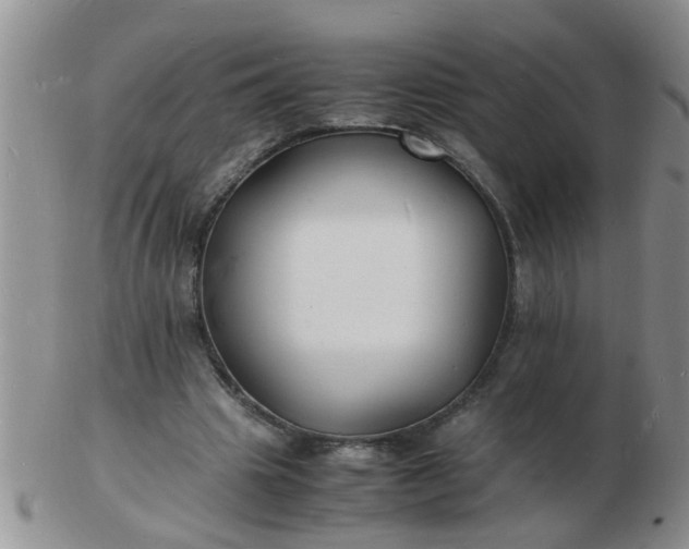 X0000103290441200809122011