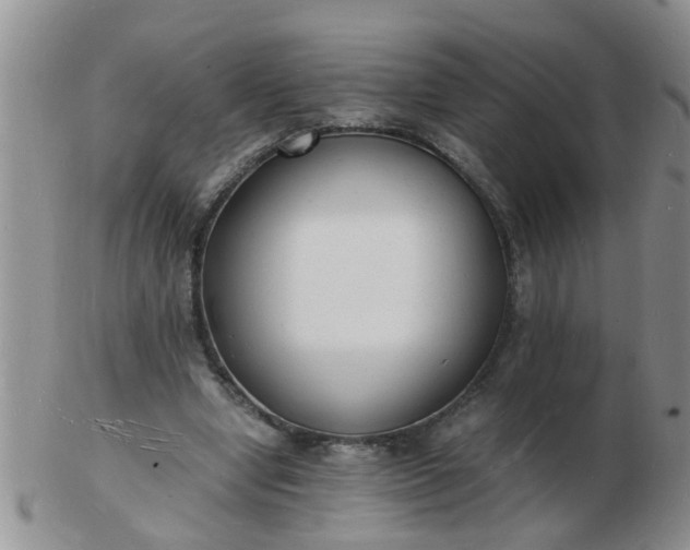 X0000103290442200809122011