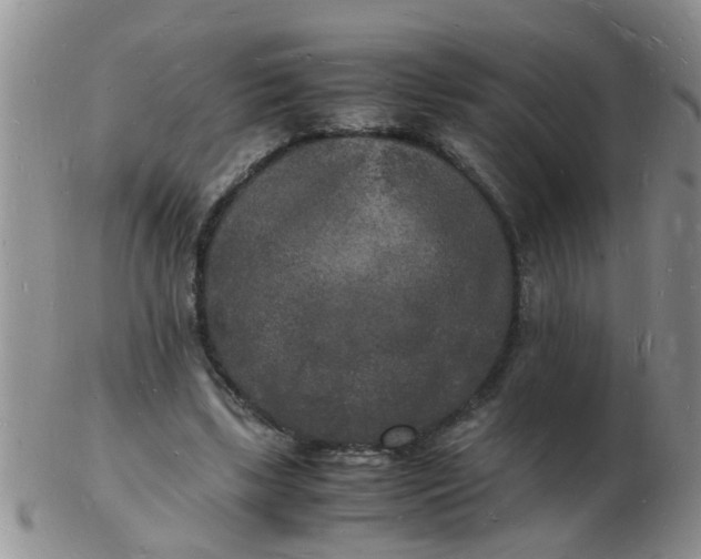 X0000103290443200809122011