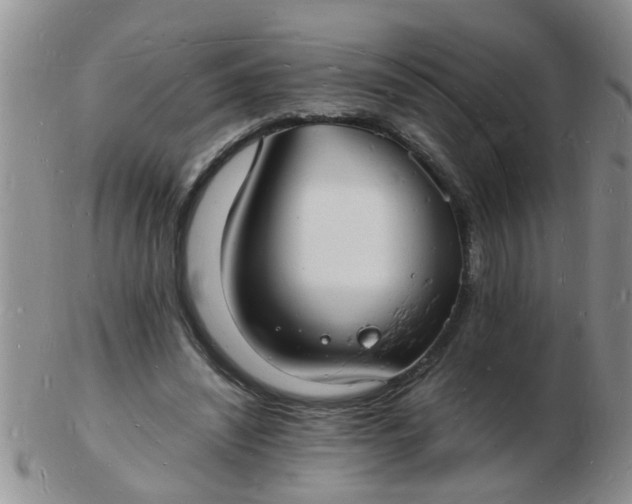 X0000103290444200809122011