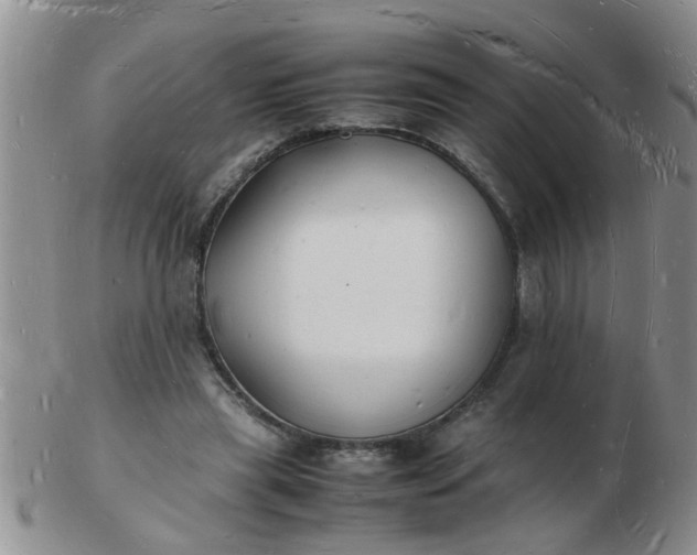 X0000103290445200809122011