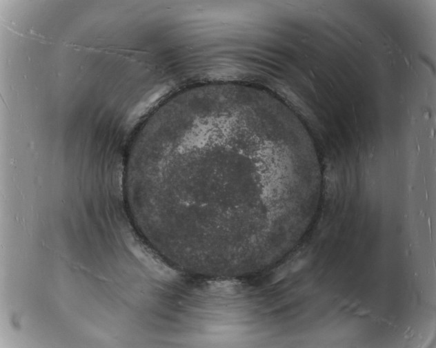 X0000103290446200809122011