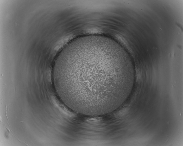 X0000103290447200809122011