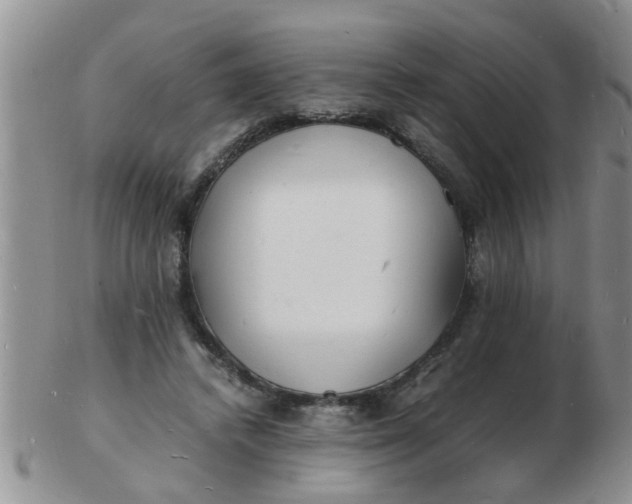 X0000103290448200809122011