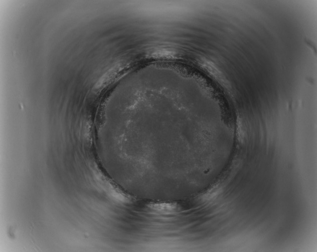 X0000103290449200809122011