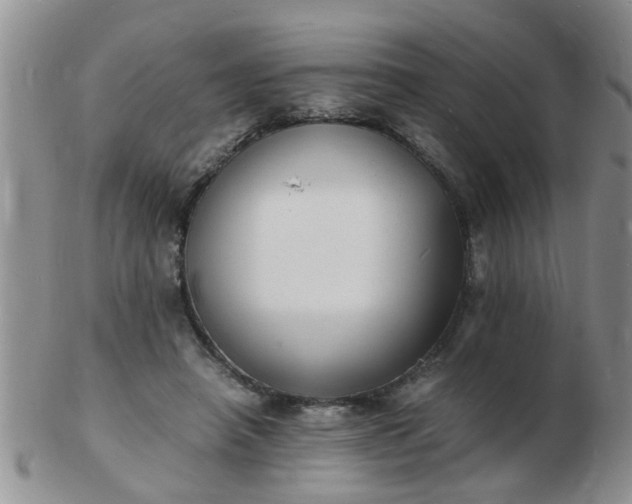 X0000103290450200809122011