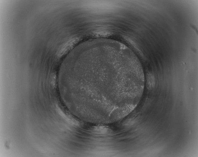 X0000103290451200809122011