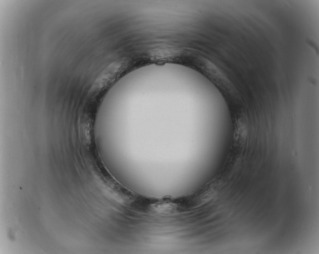 X0000103290452200809122011