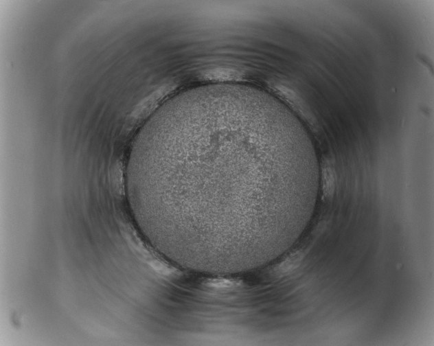 X0000103290453200809122011