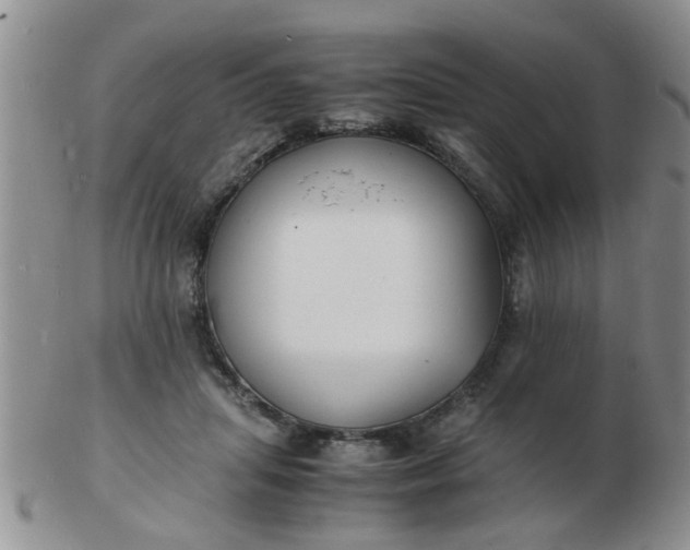 X0000103290455200809122011