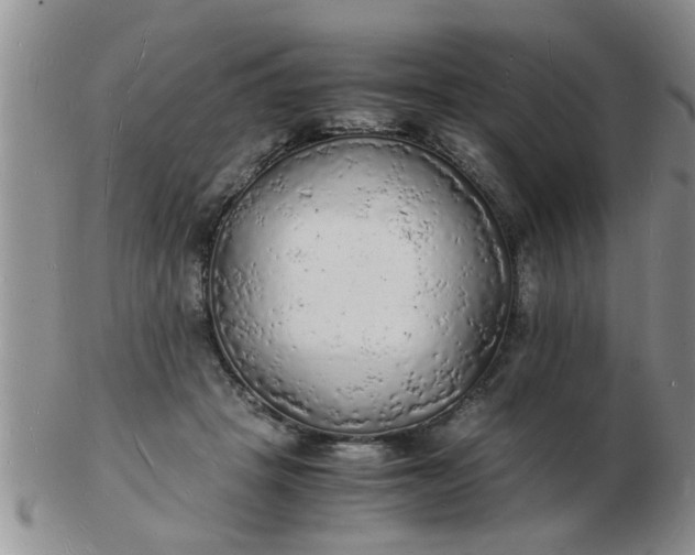 X0000103290457200809122011