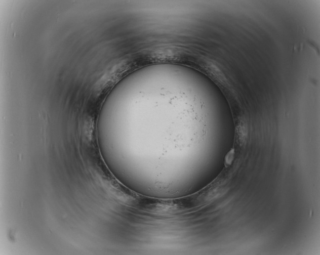 X0000103290458200809122011