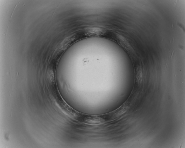 X0000103290459200809122011