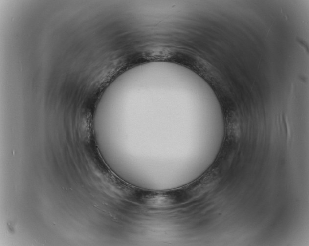 X0000103290460200809122011