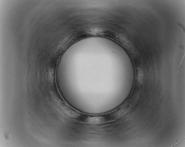 X0000103290461200809122011