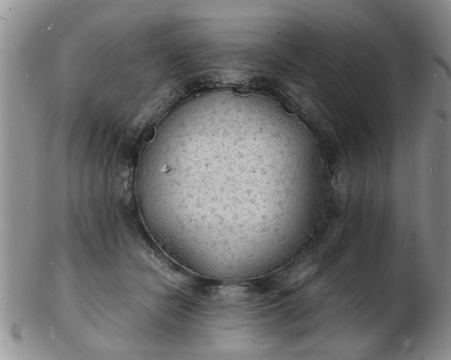 X0000103290462200809122011