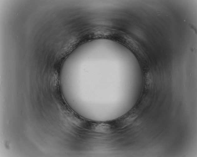 X0000103290463200809122011