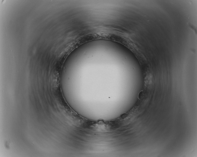 X0000103290464200809122011