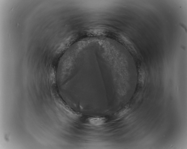 X0000103290465200809122011