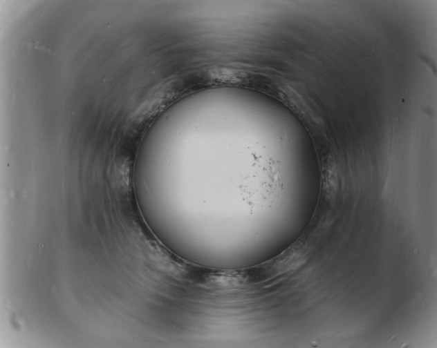 X0000103290466200809122011