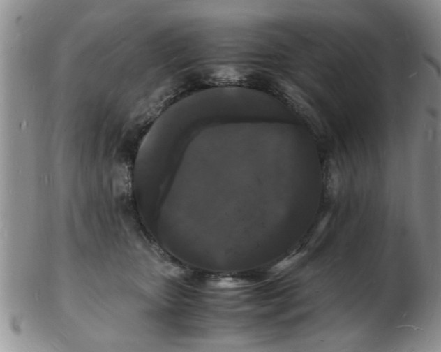 X0000103290467200809122011