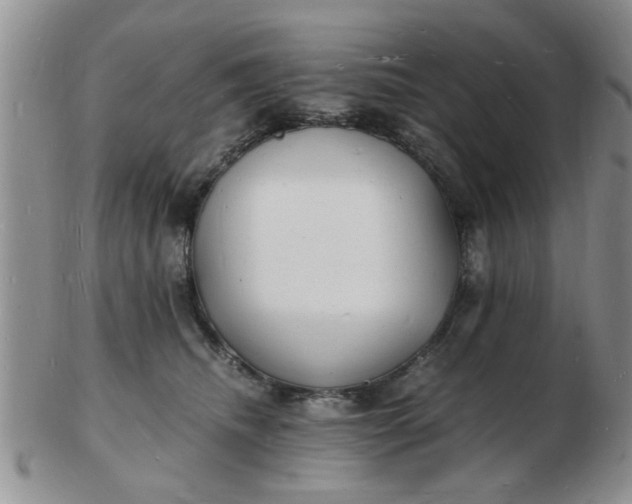 X0000103290468200809122011