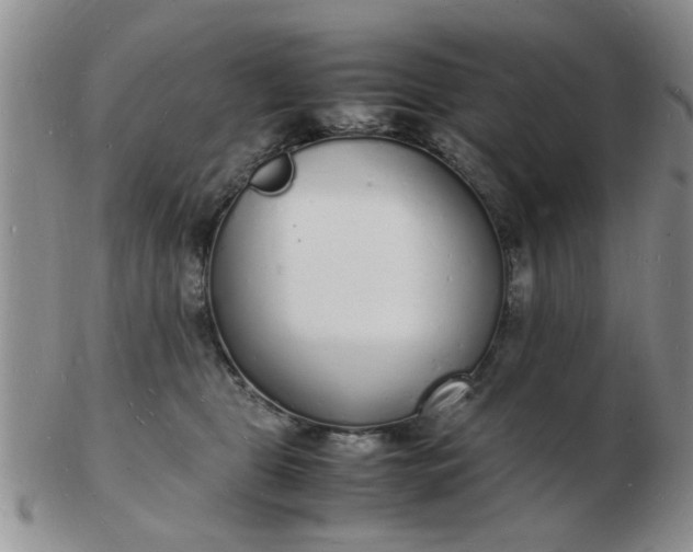 X0000103290469200809122011