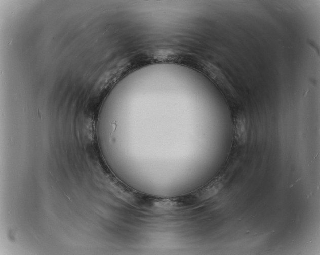 X0000103290470200809122011