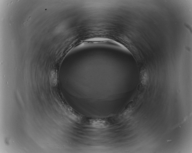 X0000103290471200809122011